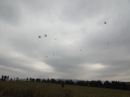 DSCF2757